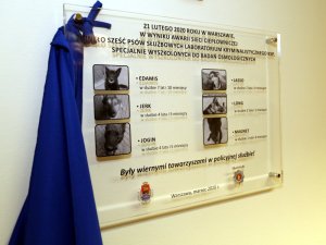 tablica upamiętniająca sześć psów policyjnych, które zginęły tragicznie 21 lutego 2020 roku